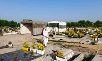 سمپاشی قطعات 16،17، 20، 21 وادی دولت آباد مورخ 6 خرداد 